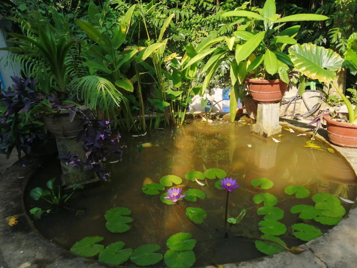 فندق Kep Melting Potes المظهر الخارجي الصورة